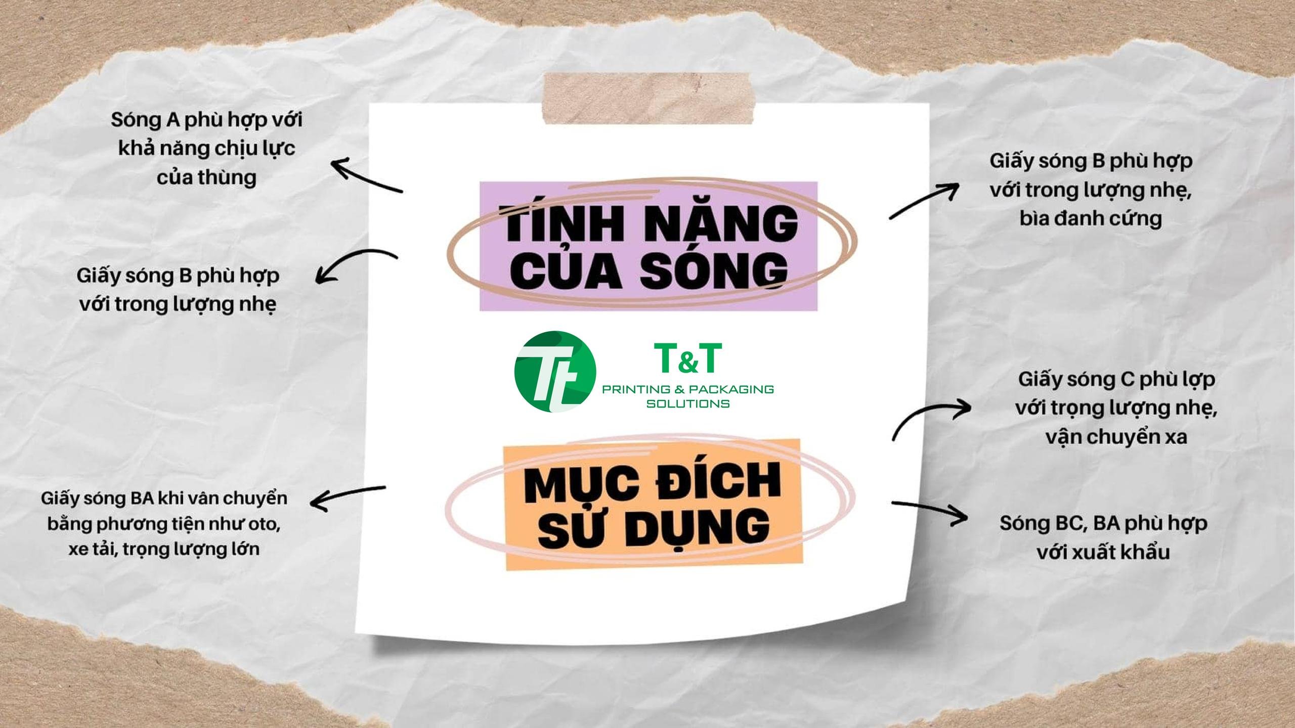 in hộp carton