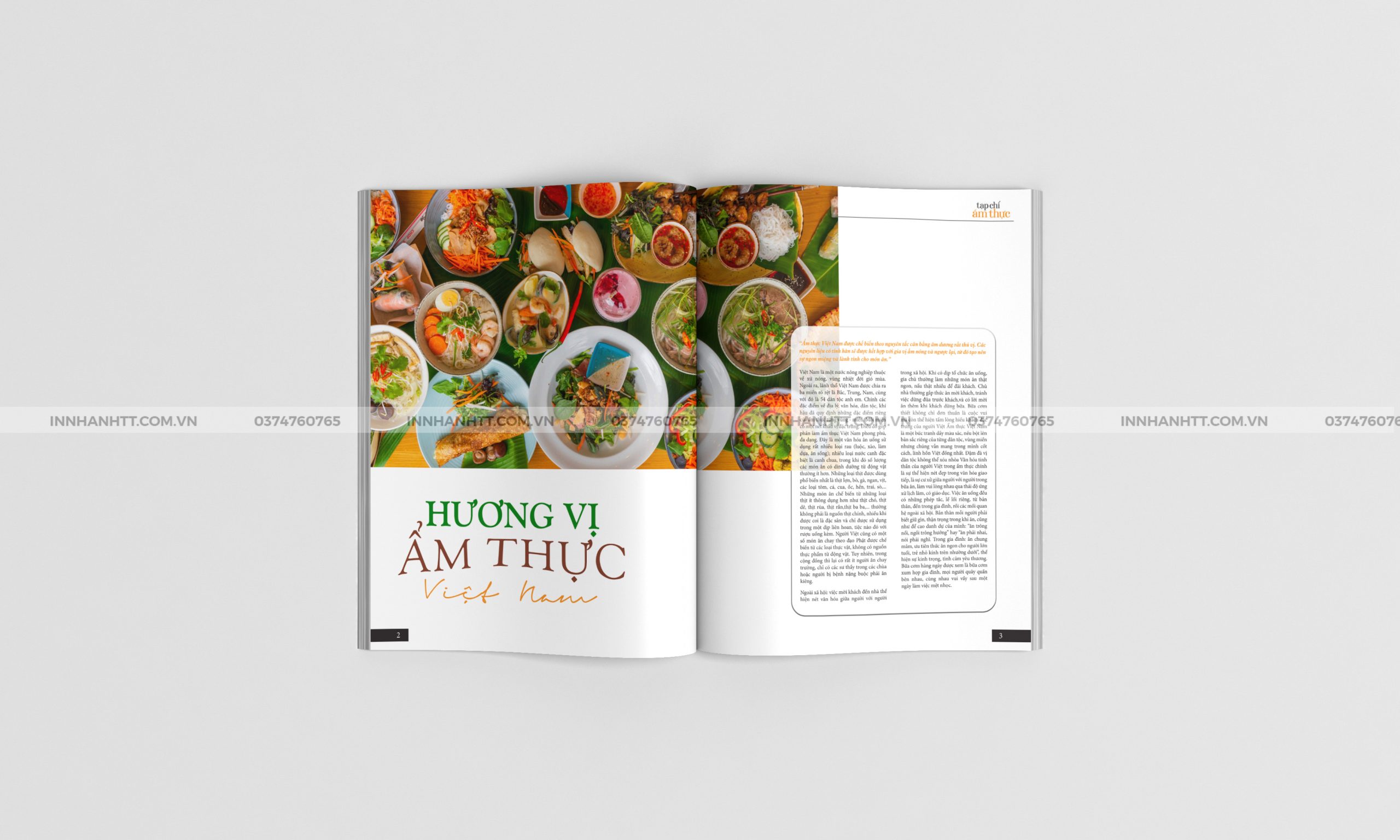 thiết kế catalogue