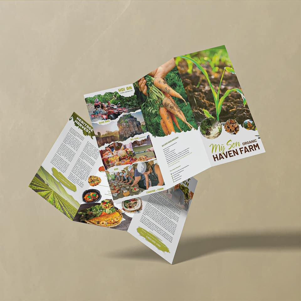 thiết kế tờ gấp 3