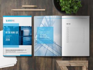 In profile - Hồ sơ năng lực